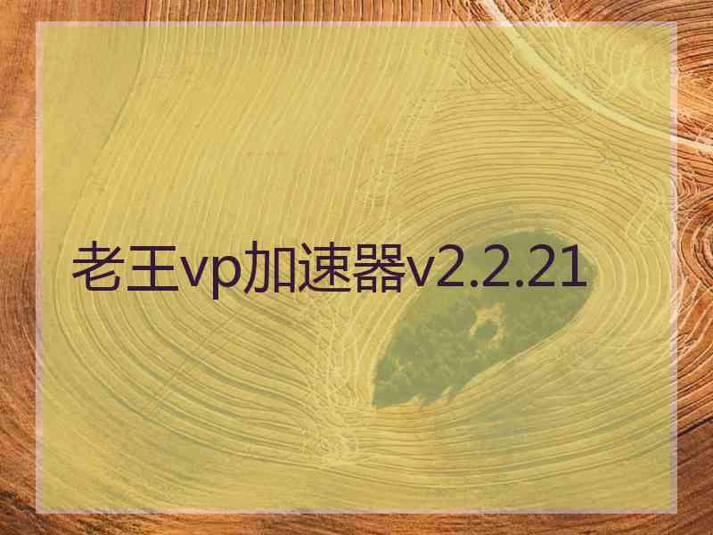老王vp加速器v2.2.21