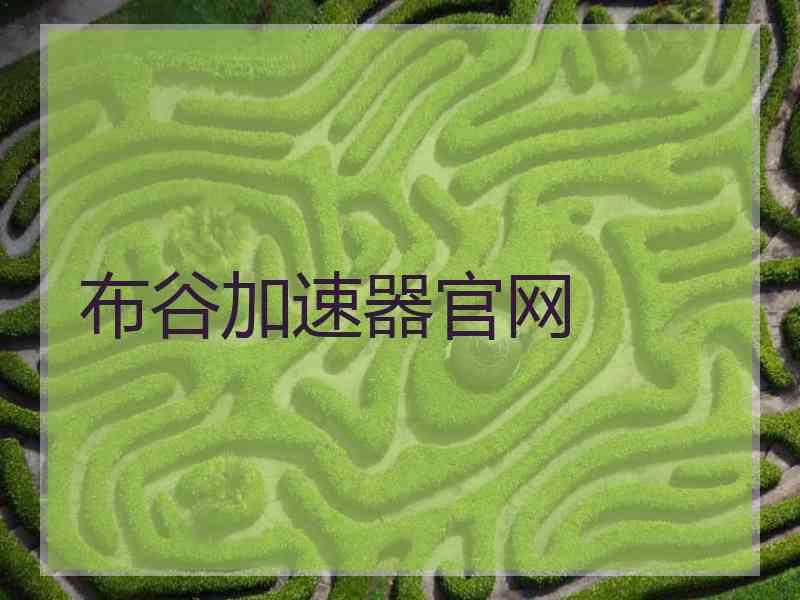 布谷加速器官网