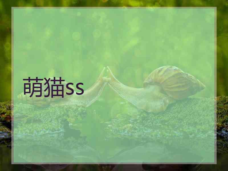 萌猫ss