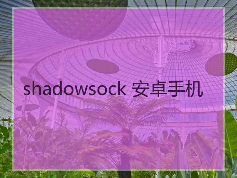 shadowsock 安卓手机