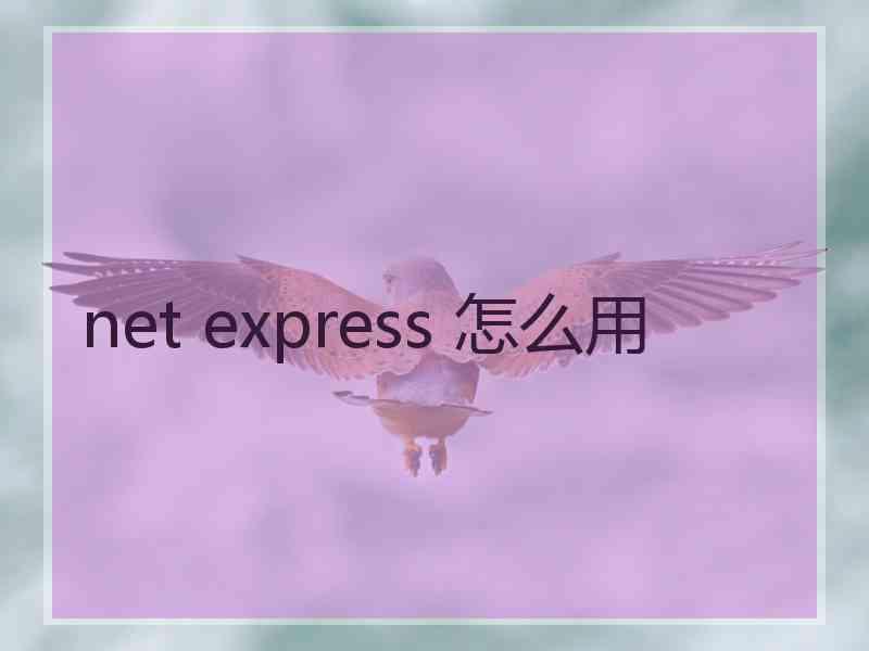 net express 怎么用