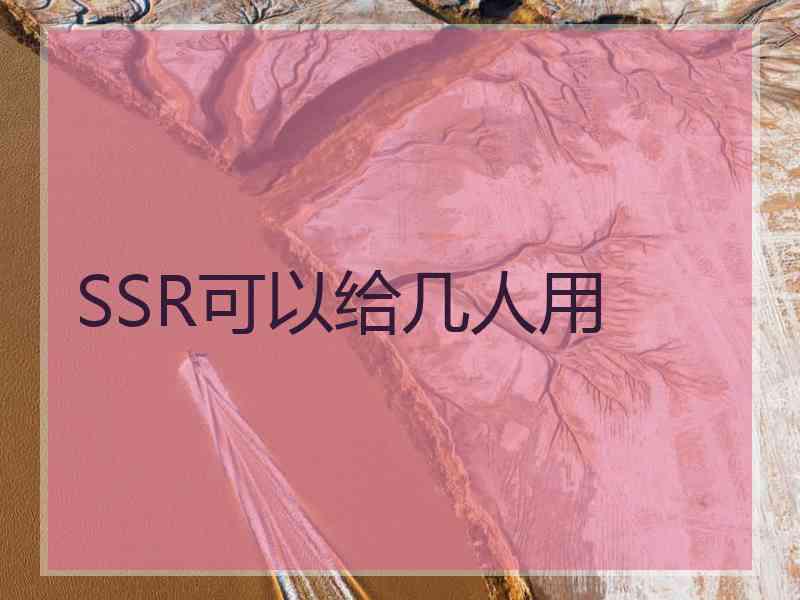 SSR可以给几人用