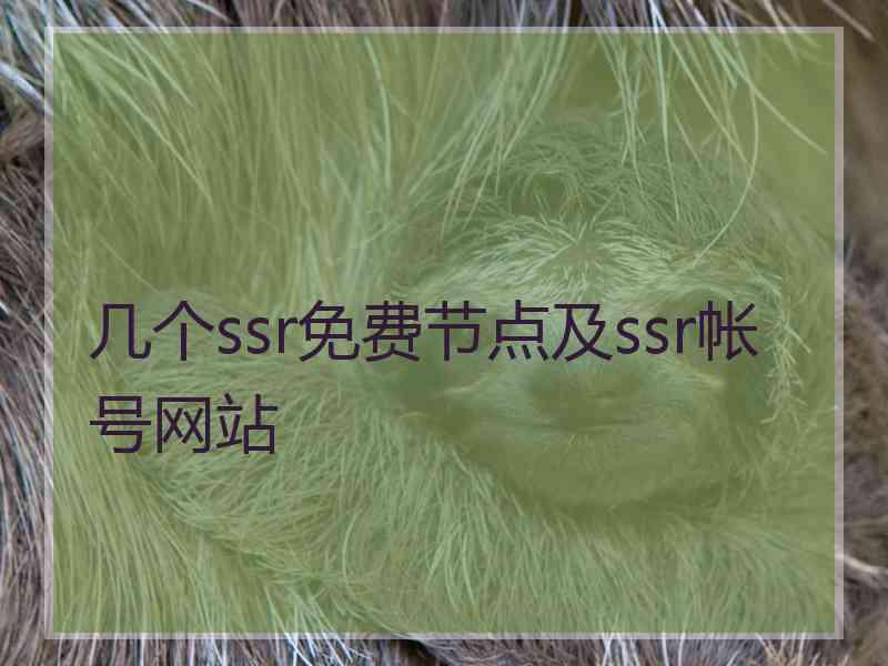几个ssr免费节点及ssr帐号网站