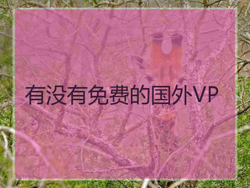 有没有免费的国外VP