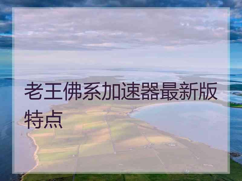 老王佛系加速器最新版特点
