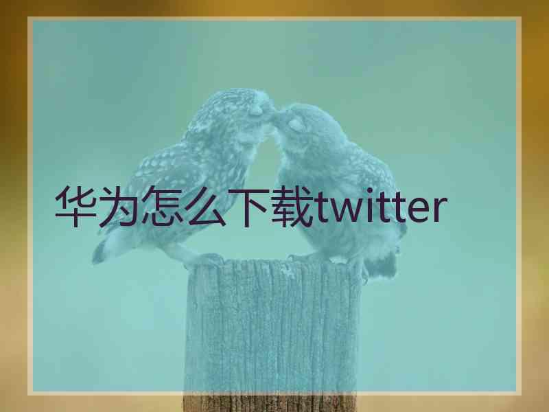 华为怎么下载twitter