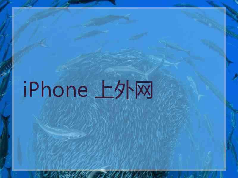 iPhone 上外网