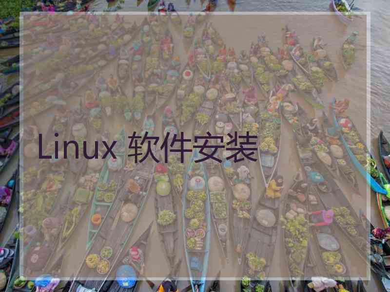 Linux 软件安装